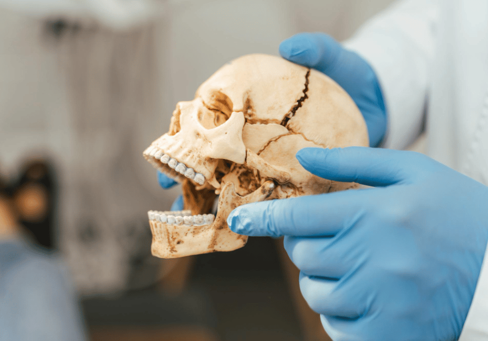 Facial Trauma